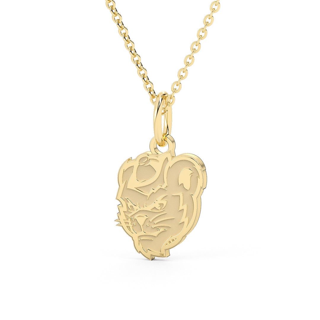 This is a Sam Houston State University pendant featuring Sammy the Bearkats head made in yellow stainless steel.
