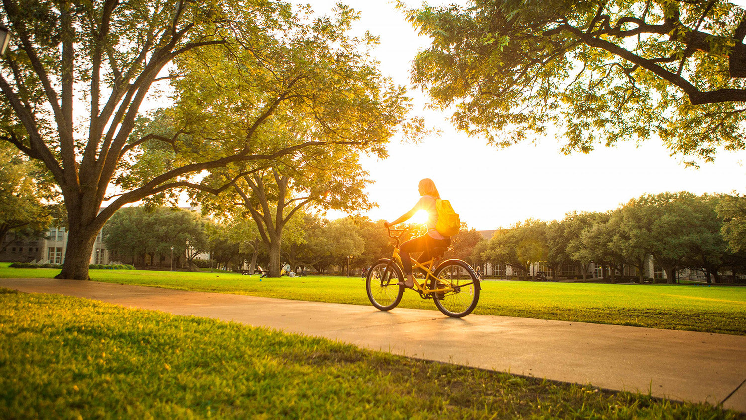 This photos shows a college student riding a pirate bike on Southwestern Universities Campus at sunset. They are riding by a green field with trees in the background. 